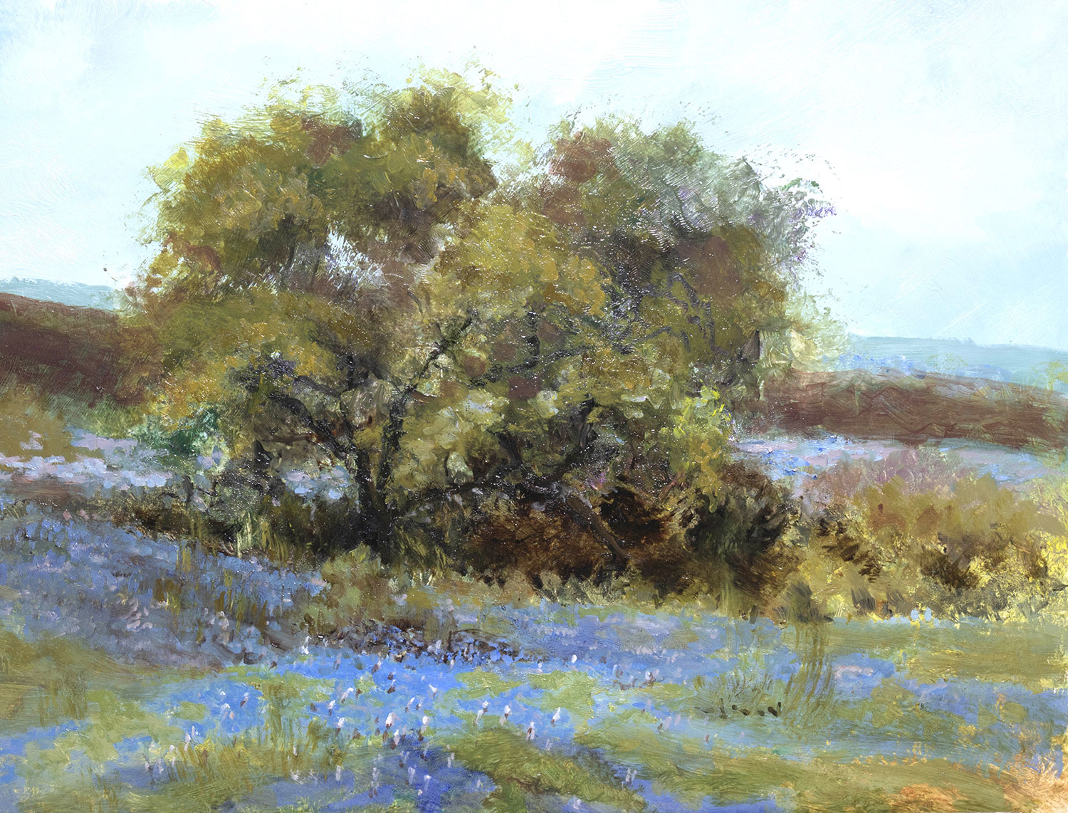 Texas Hill Country Oil Paintings by Chris Trinidad