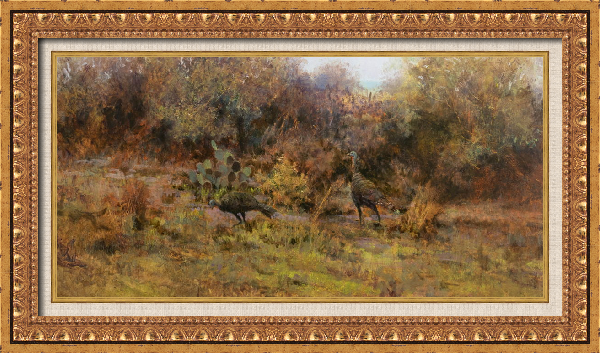 Central Texas Turkeys